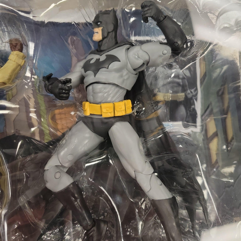 Mcfarlane toys dc multiverse batman vs. hush