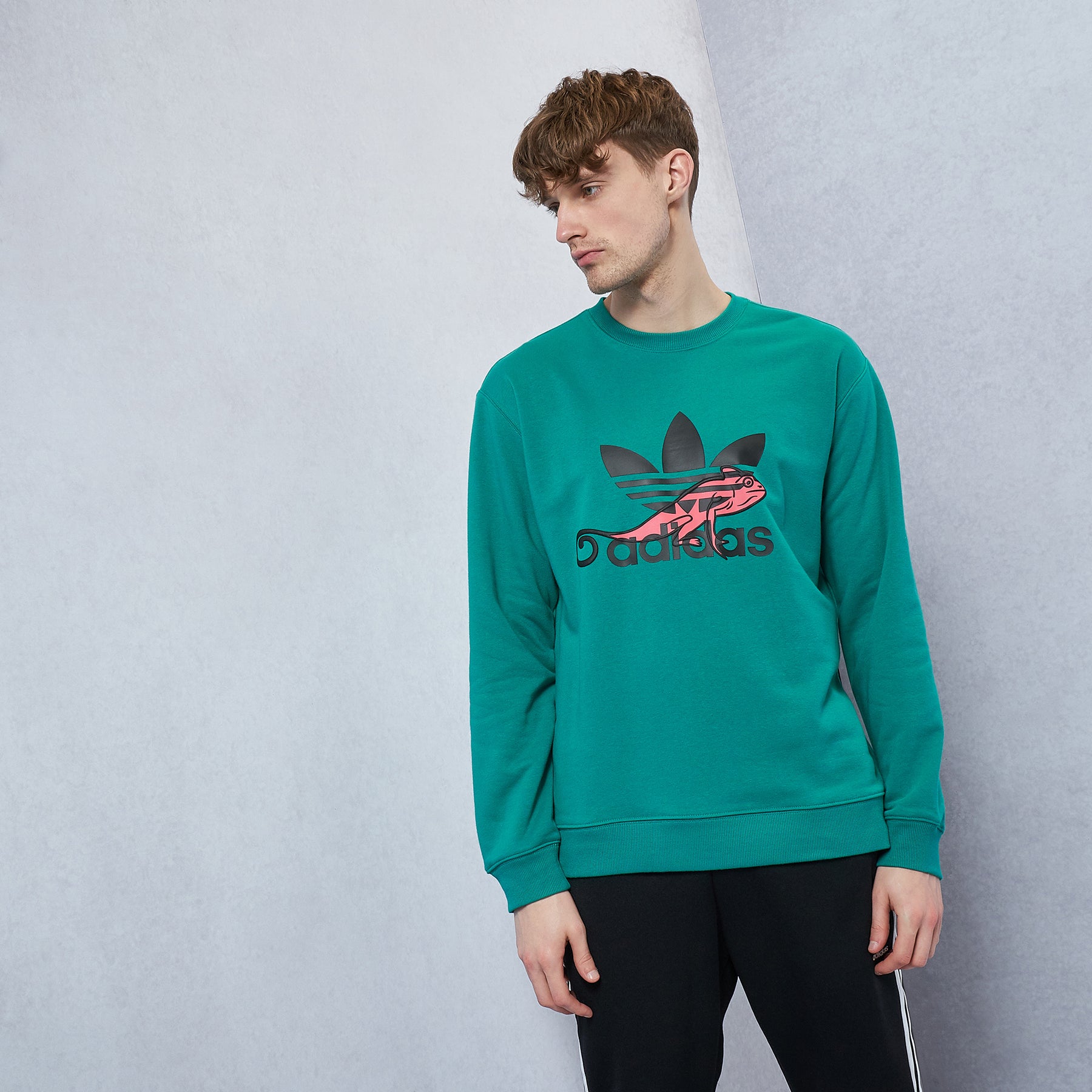 adidas Originals PT3 Chameleon Logo Sweatshirt | Dropkick