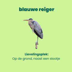 autobingo spot de blauwe reiger