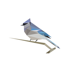 BirdNET app Spriet favoriete apps om natuur te ontdekken