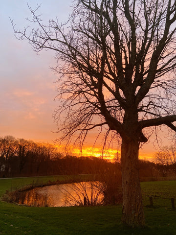 Spriet waarom vieren we oud en nieuw op 31 december zon