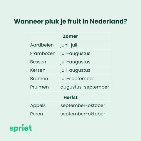 Wanneer pluk je fruit in Nederland