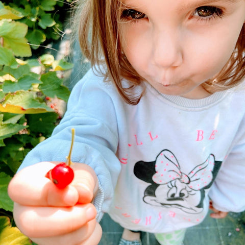 fruit plukken mini voedselbos starten kinderen moestuin