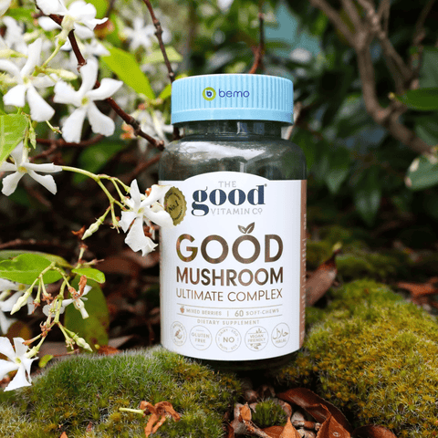 Good Vitamin Co Mushroom Complex