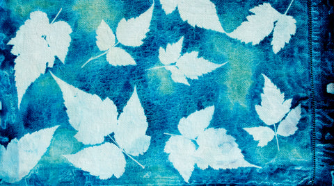 Cyanotype on linen with Salmonberry