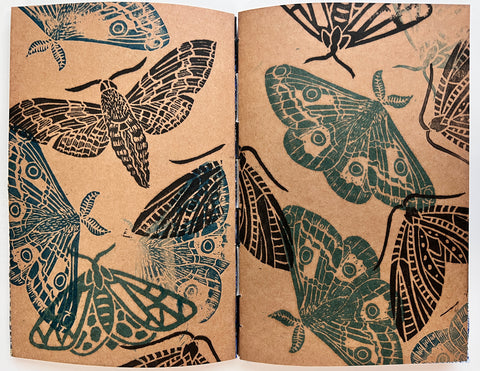 An Eclipse of Moths by April Sproule