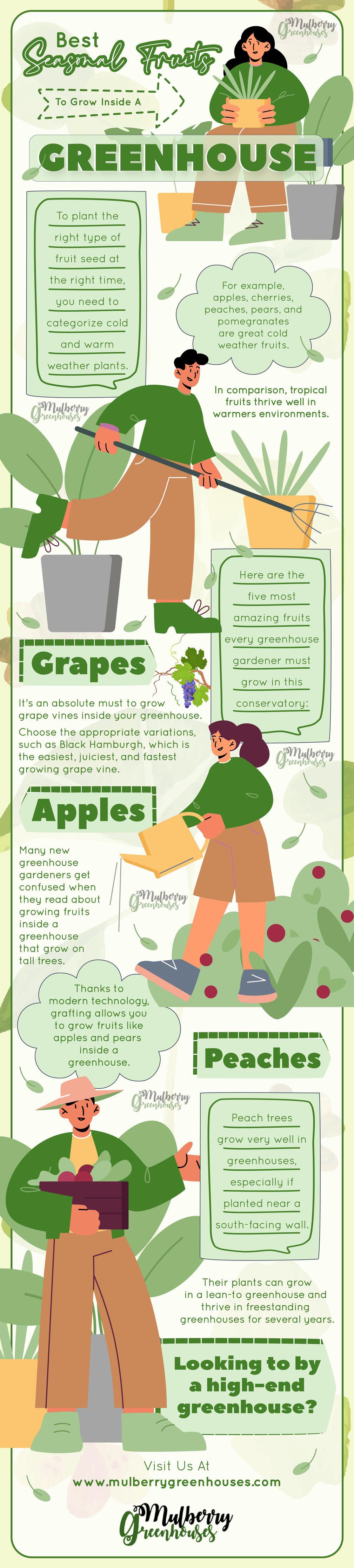 Best Seasonal Fruits To Grow Inside A Greenhouse - Infograph