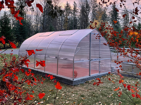 A Riga greenhouse during the Fall season