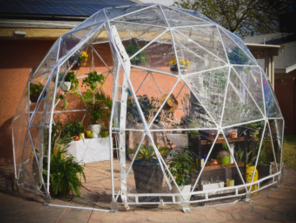 A geodesic dome greenhouse