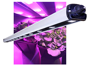 Greenhouse grow lights 