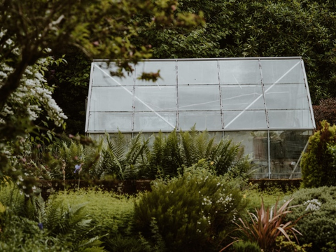 A greenhouse built on a stem wall