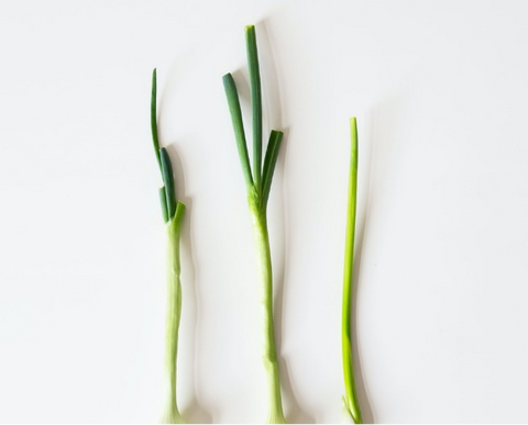 Homegrown lemongrass placed on a white surface