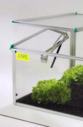 An affordable cold frame greenhouse by Juwel BioStar