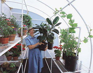 Lean-to-greenhouse-interior-gardener