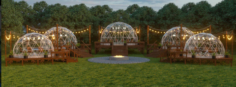 Lumen & Forge greenhouse