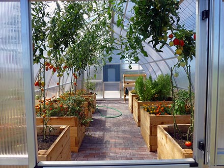 A Riga XL greenhouse’s spacious interior