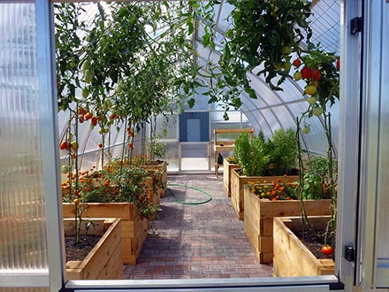 A Riga greenhouse with raised garden beds