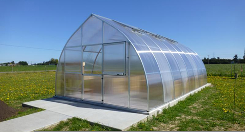 A Riga greenhouse