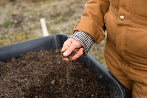 A gardener inspecting soil in winters