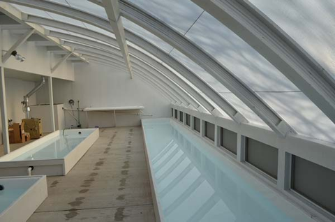 A Solexx greenhouse interior