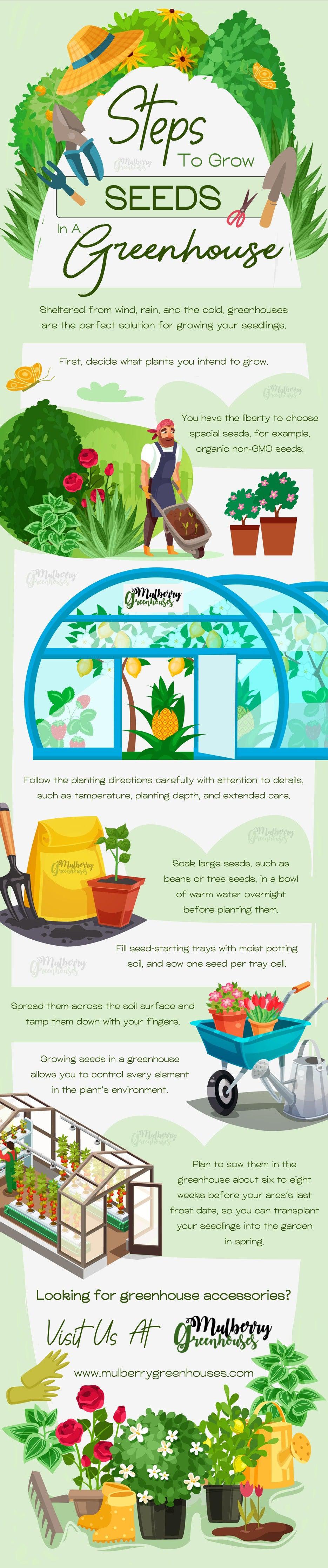 Steps To Grow Seeds In A Greenhouse - Infograph