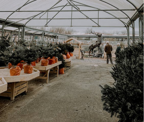 A community gardening event setup inside a greenhouse