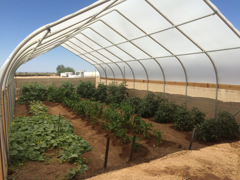 A Solexx educational greenhouse