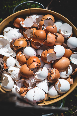 Eggshells for making compost