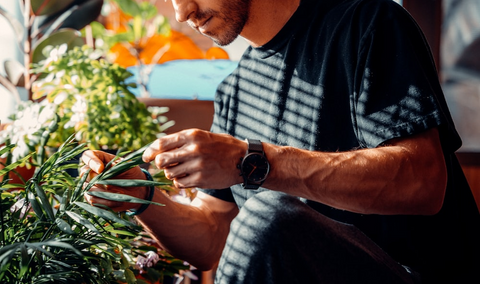 A gardener looking after his plants inside a greenhouse