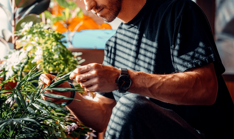 A gardening lover checking his plants