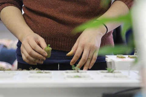 A person planting seeds inside a grow closet