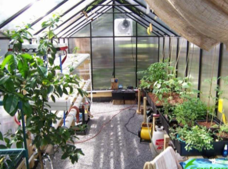 Gardening tools and plants inside a MONT Mojave greenhouse