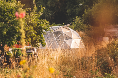 A geo-dome greenhouse