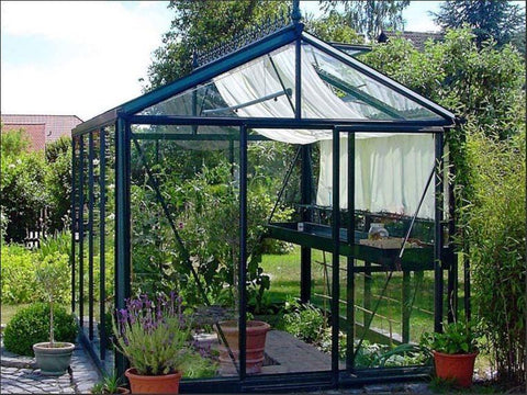 Plants in a greenhouse with shade cloth  