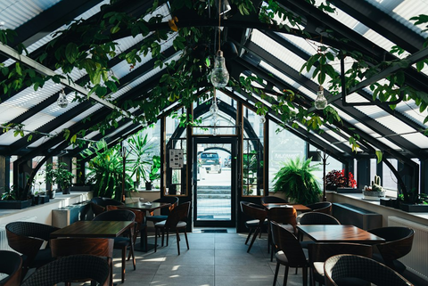 a coffee shop in a greenhouse