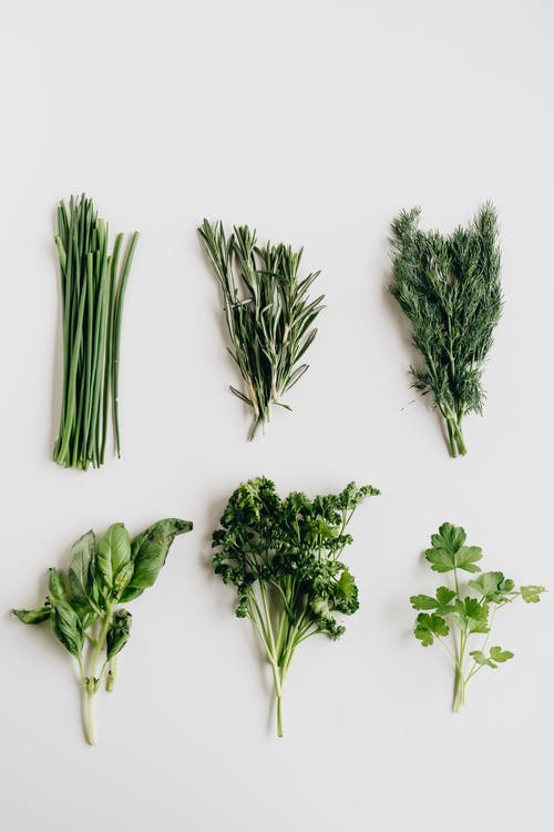 Assorted herbs on a white surface