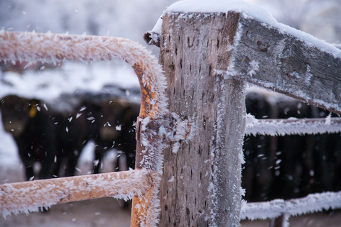 Frost on greenhouse fences