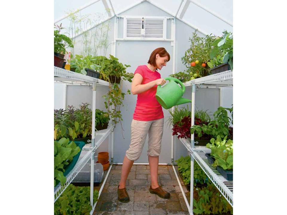 Solexx 8ft x 8ft Garden Master Greenhouse G-508