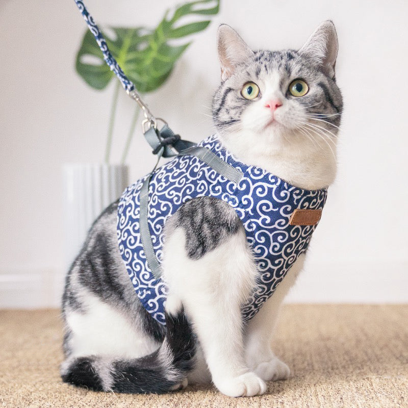 cat harness leash set