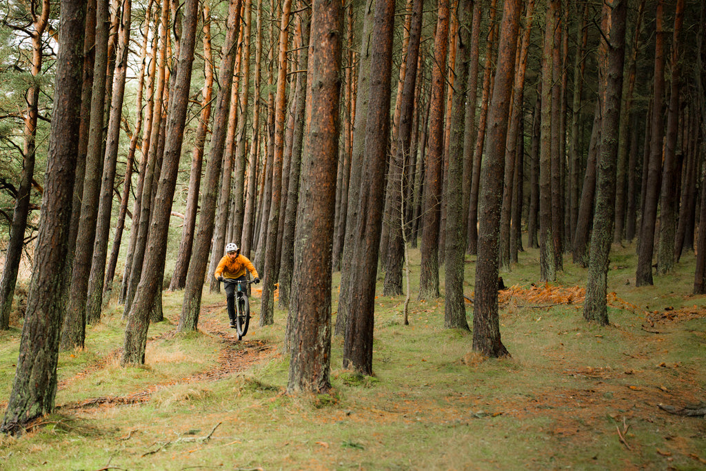 Matthew riding Glentress on his V3 Hightower