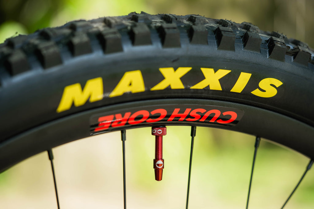Maxxis tyres and Cushcore inserts on Innes' race bike