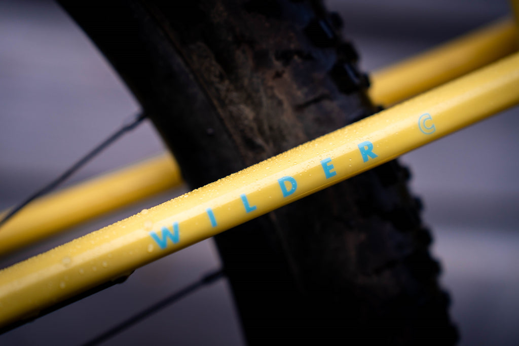 Seatstays on Fi's Juliana, Wilder is painted along the seatstay