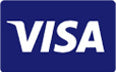 visa icon