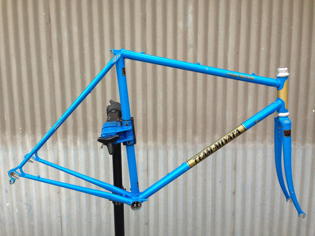 Team Miyata Frameset with Galli 