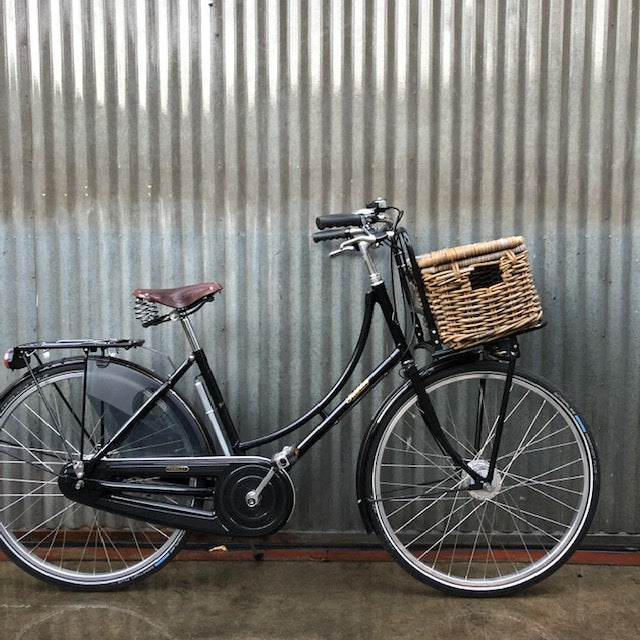 pashley dynamo light