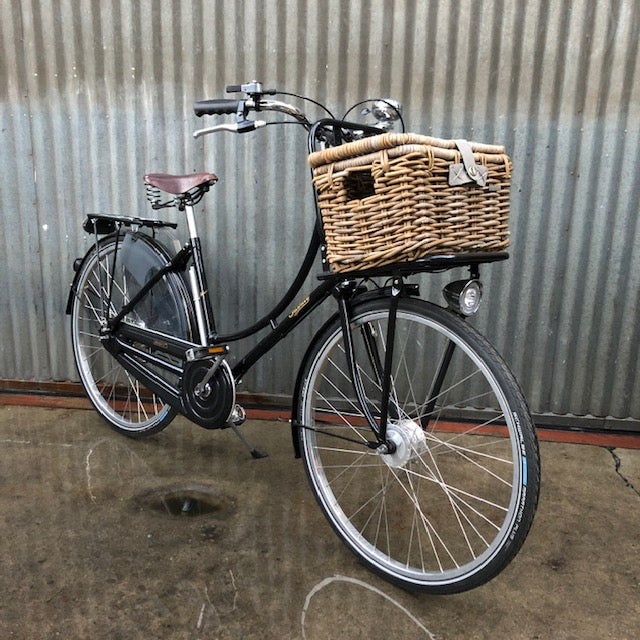 pashley dynamo light