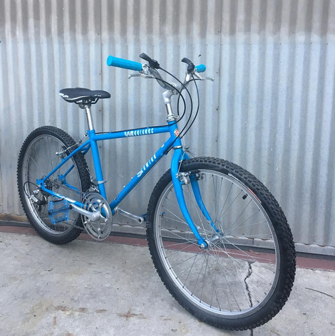 vintage 24 inch bike