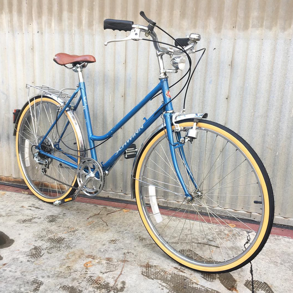 schwinn collegiate