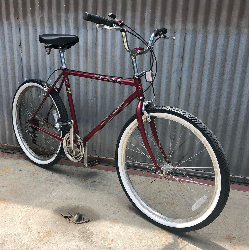 schwinn cruiser