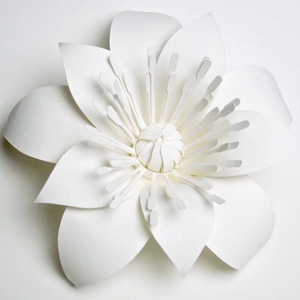 Paper Flower Template, Hellebore for Silhouette or Cricut Explore Craf ...